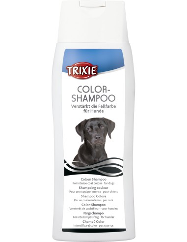 Color-Shampoo (schwarz) 250ml