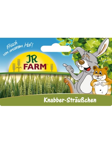 JR Knabber-Sträu√üchen 25g