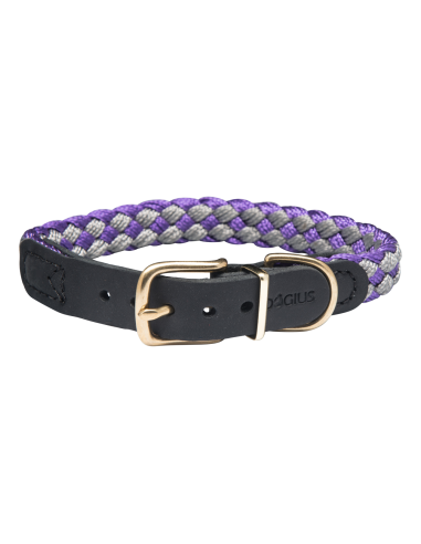 Halsband Newton 2,4 cm x (40cm - 60cm), Dogius